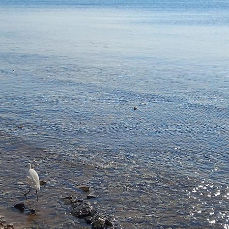 Apartament Le Tre Coccinelle Porto Cesareo Zewnętrze zdjęcie