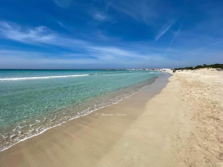 Apartament Le Tre Coccinelle Porto Cesareo Zewnętrze zdjęcie